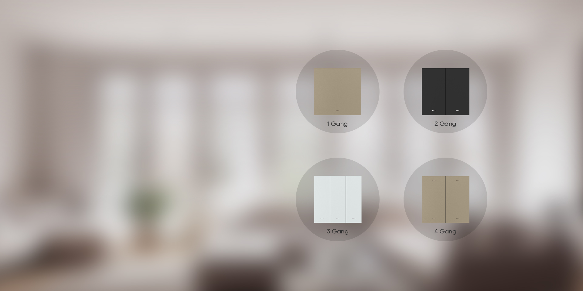 Smart Key Switch (EU-Standard)