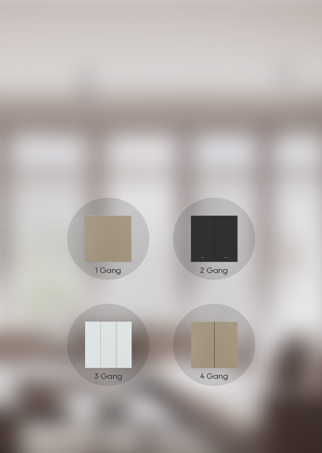 Smart Key Switch (EU-Standard) – Vorschau 2